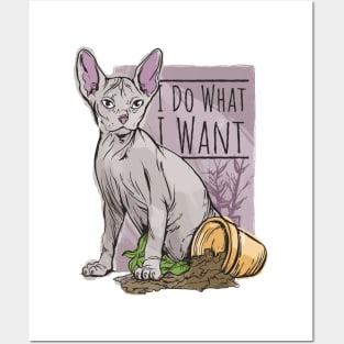 I do What I Want Funny Sphynx Cat Posters and Art